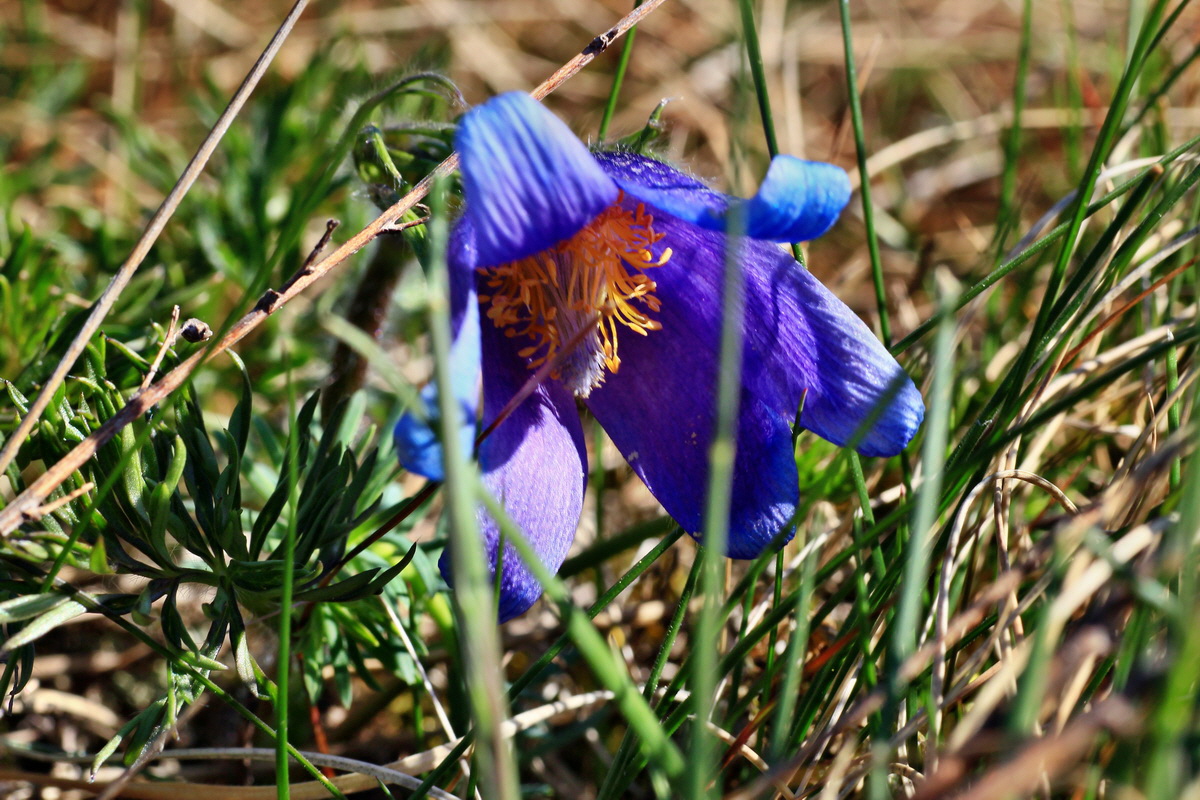 2015_04_20_00017493p_Bildgr��e �ndern