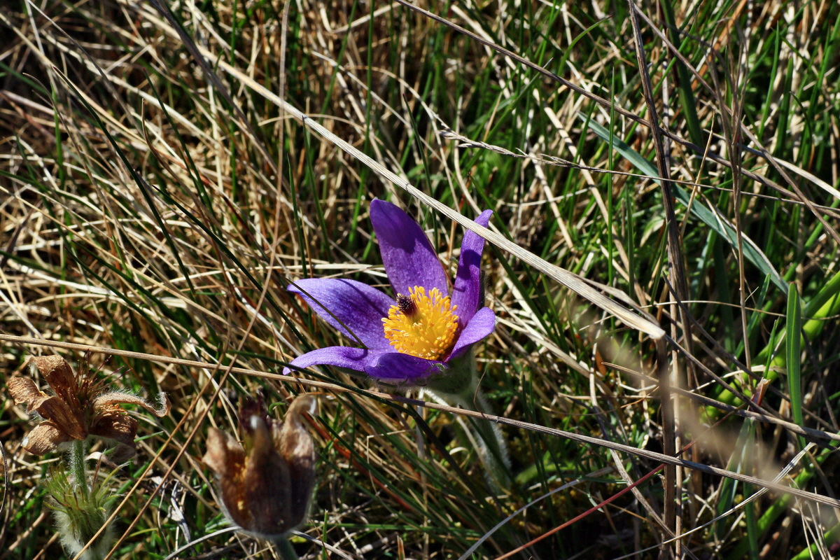 2015_04_20_00017495p_Bildgr��e �ndern