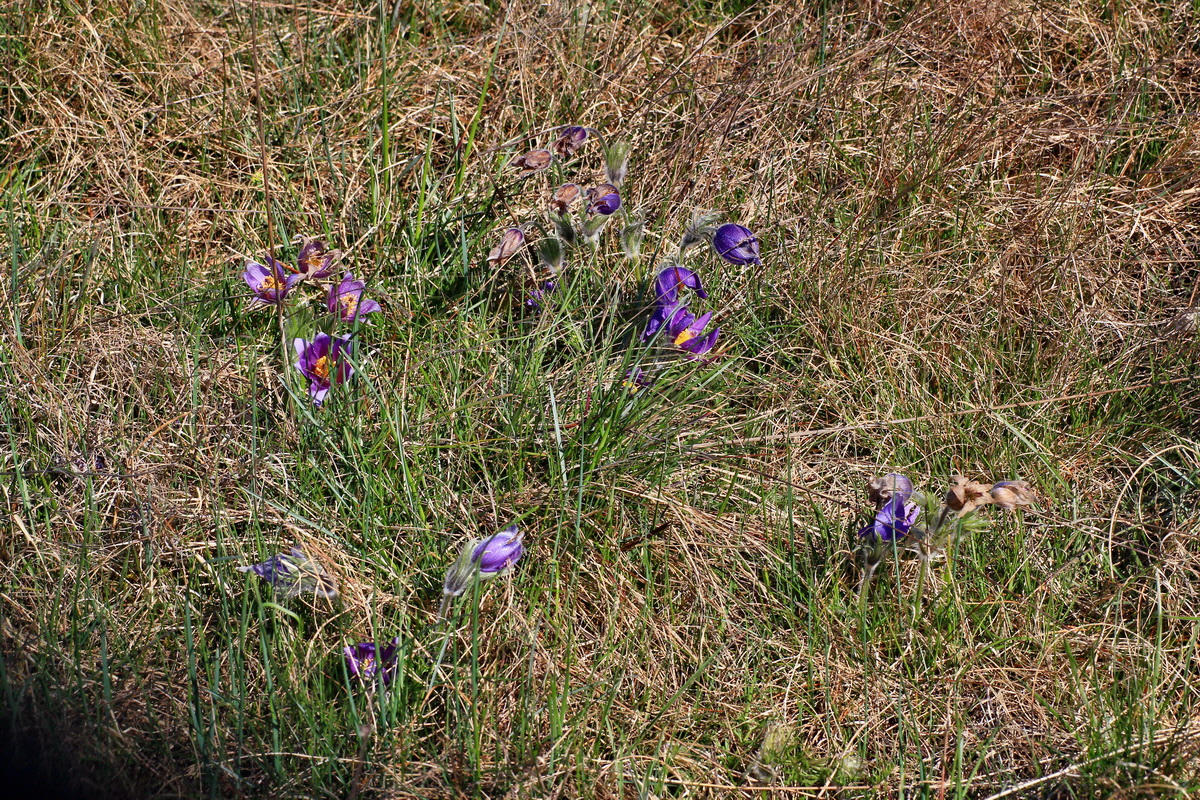 2015_04_20_00017507p_Bildgr��e �ndern