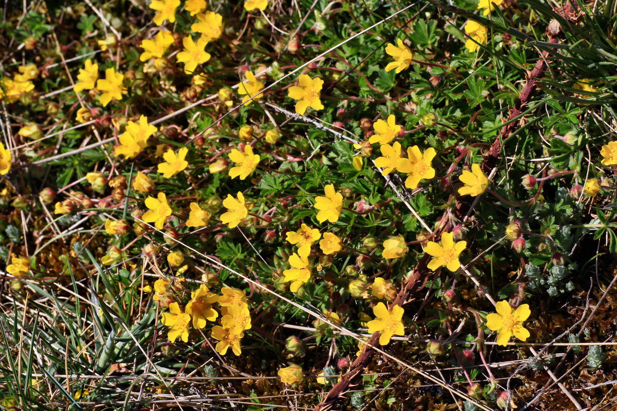 2015_04_20_00017518p_Bildgr��e �ndern