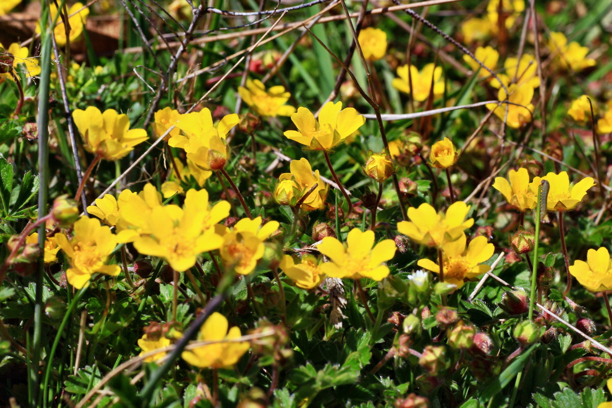 2015_04_20_00017520p_Bildgr��e �ndern