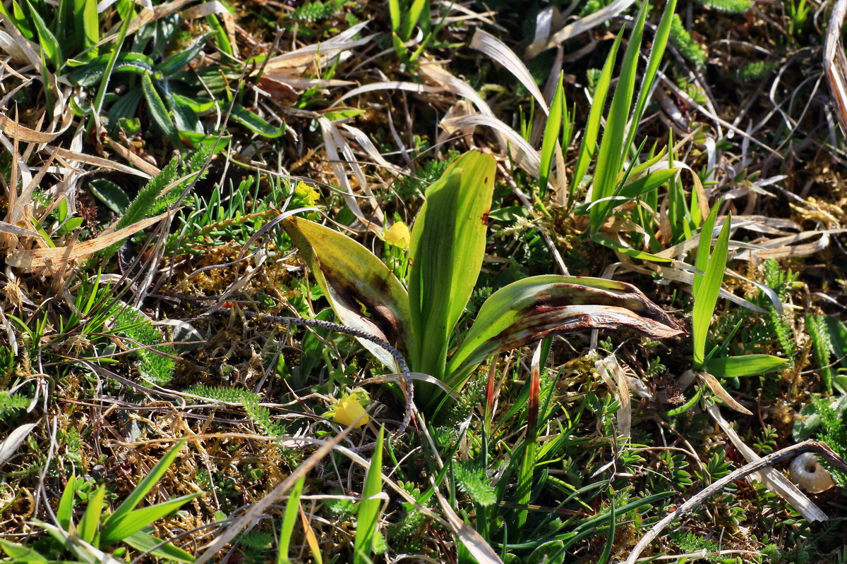 2015_04_21_00017529p_Bildgr��e �ndern