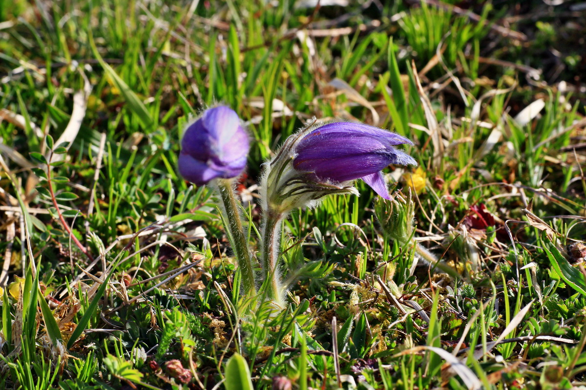 2015_04_21_00017531p_Bildgr��e �ndern