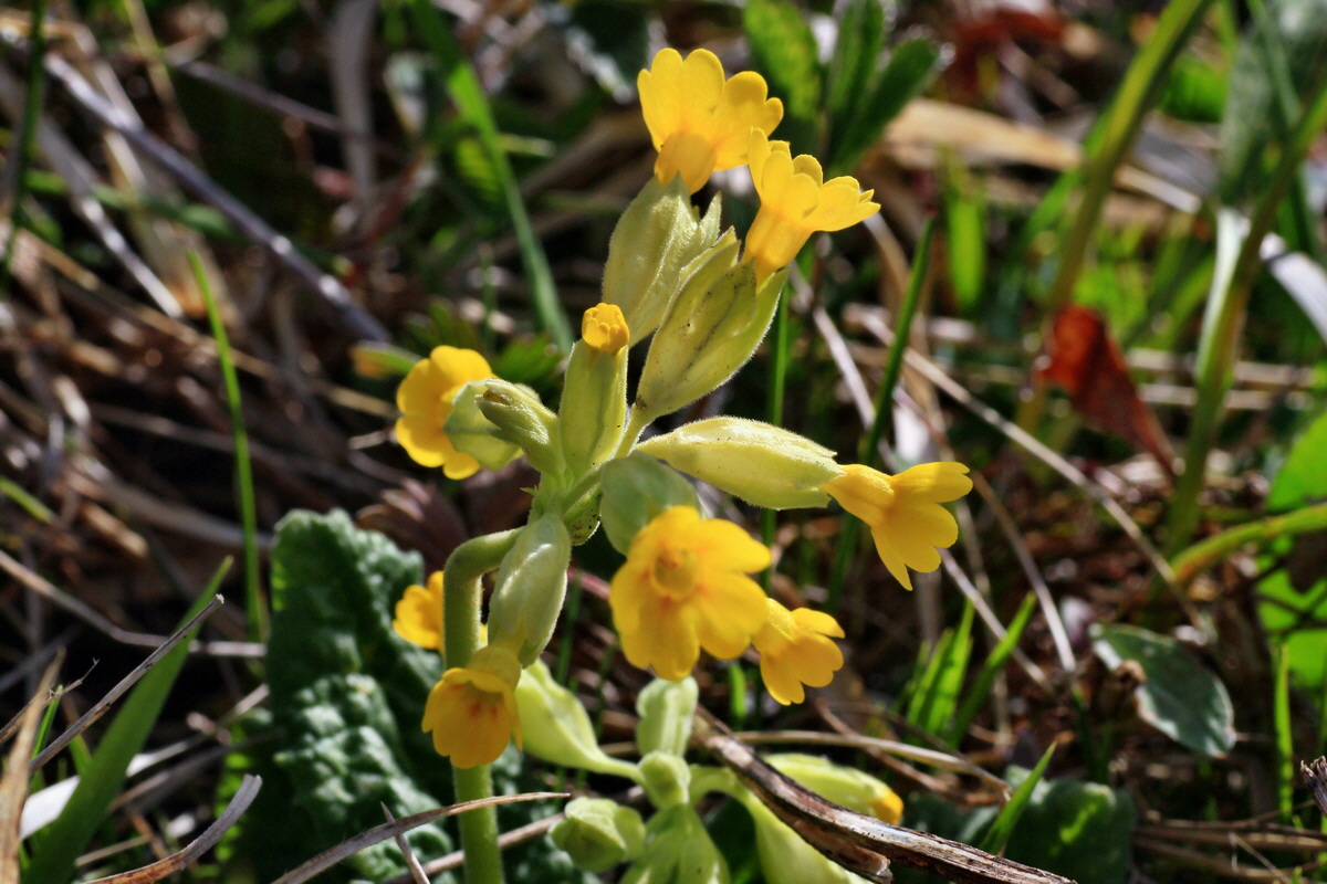 2015_04_21_00017534p_Bildgr��e �ndern