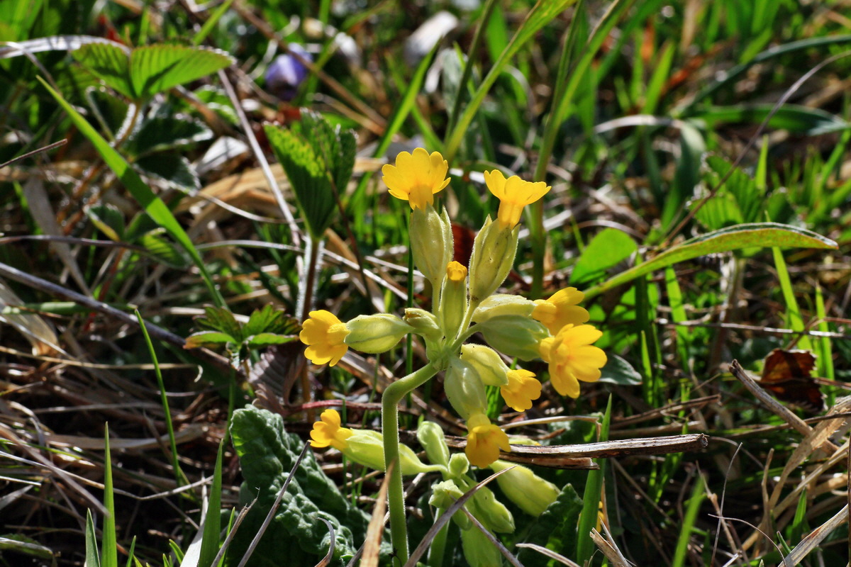 2015_04_21_00017536p_Bildgr��e �ndern