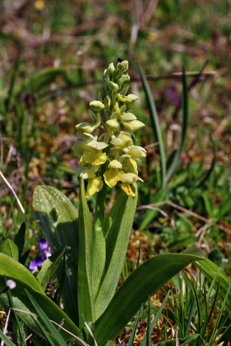 2015_04_21_00017537p_Bildgr��e �ndern