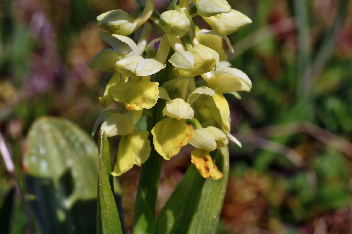 2015_04_21_00017543p_Bildgr��e �ndern