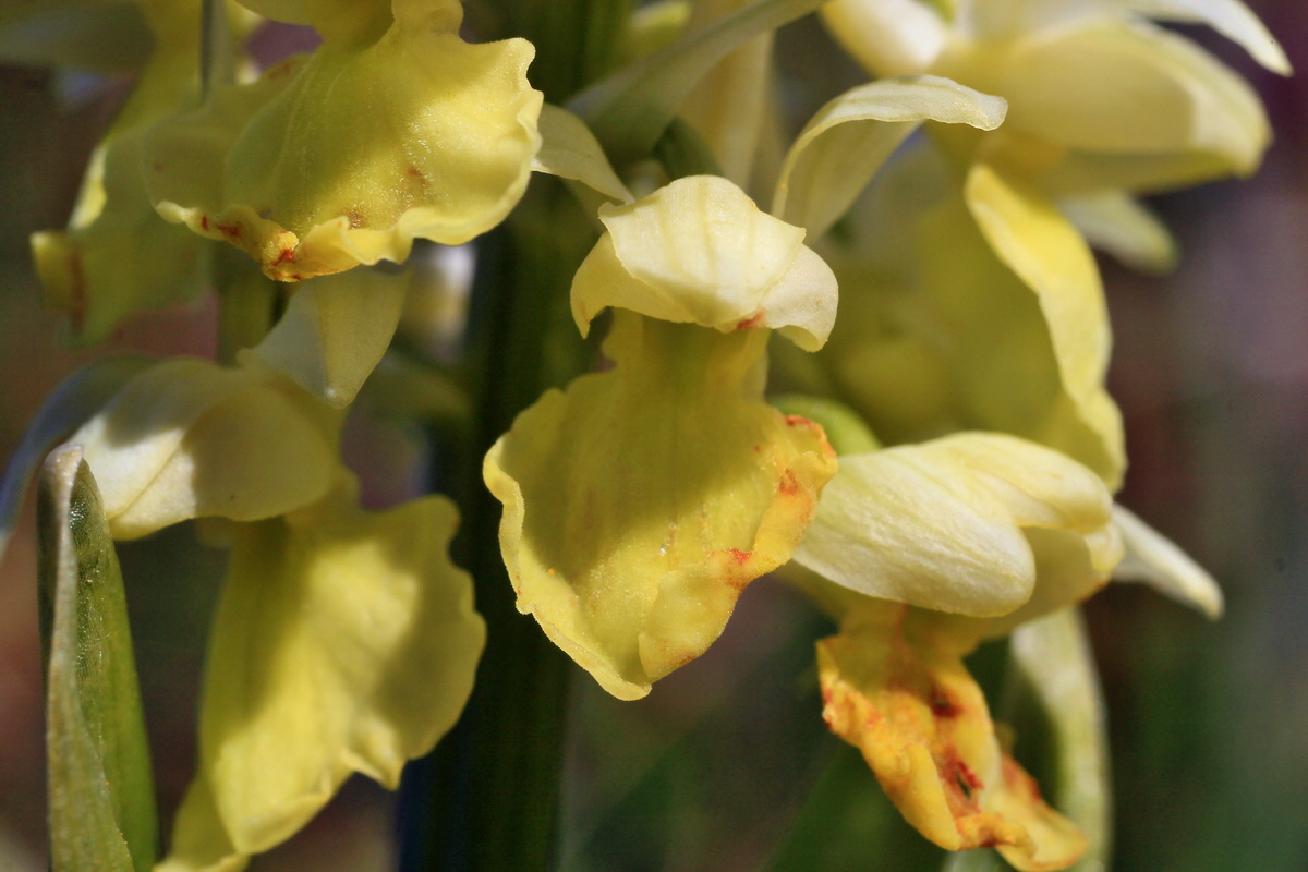 2015_04_21_00017546p_Bildgr��e �ndern