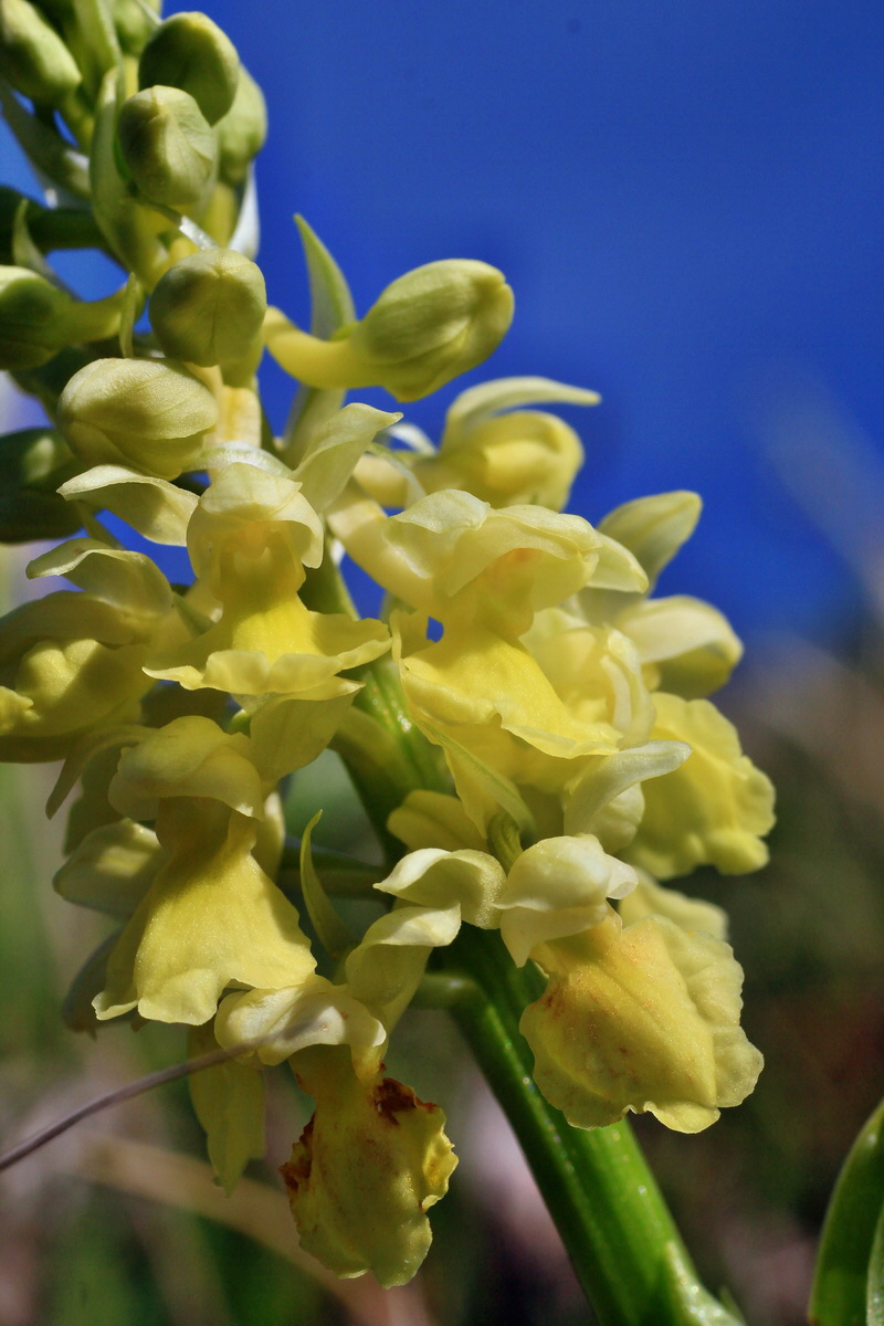 2015_04_21_00017552p_Bildgr��e �ndern