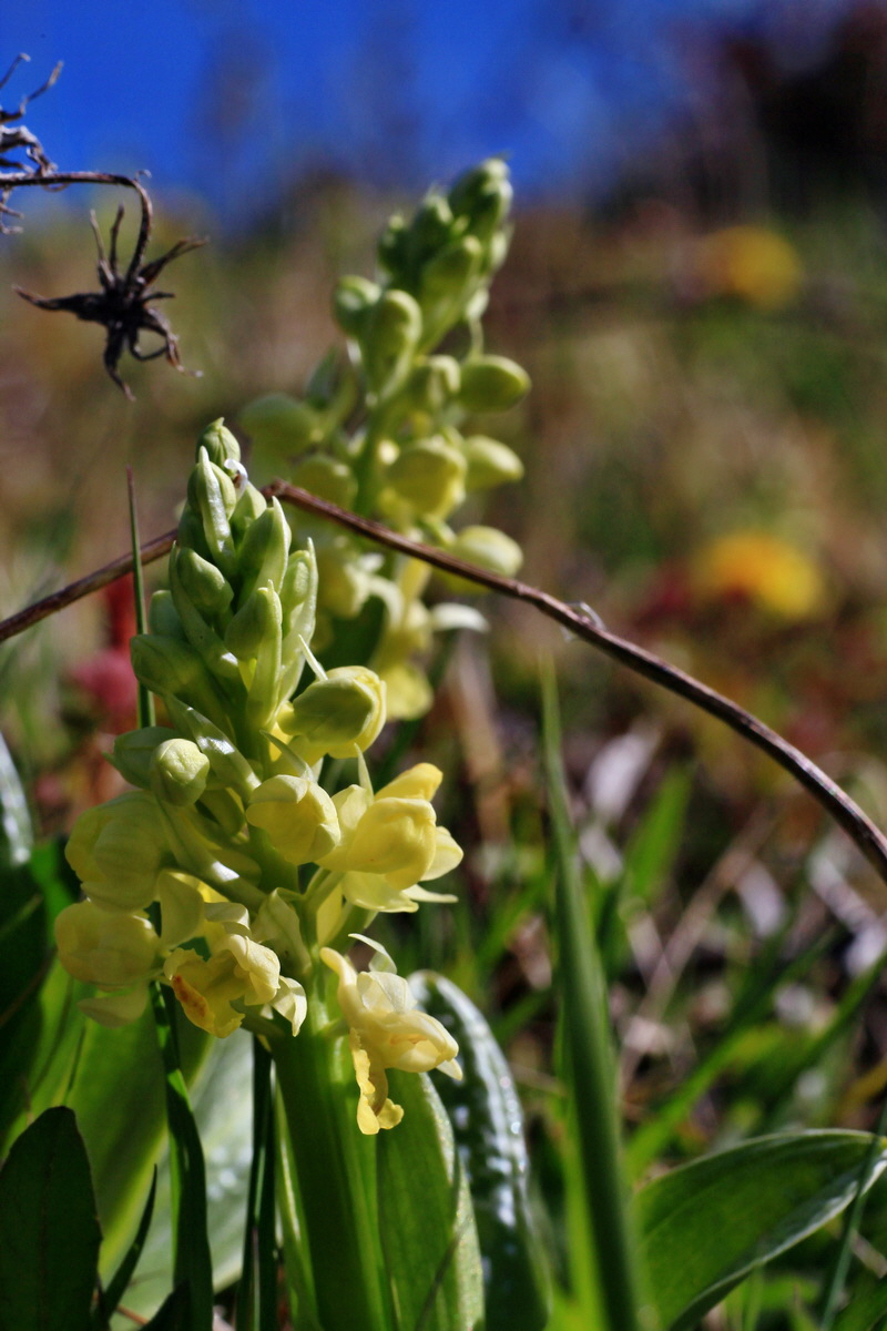 2015_04_21_00017555p_Bildgr��e �ndern