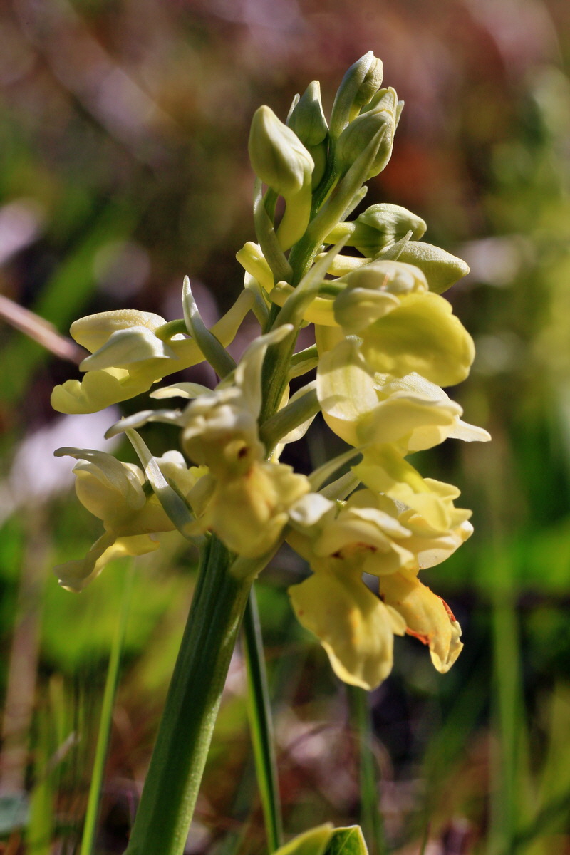 2015_04_21_00017557p_Bildgr��e �ndern