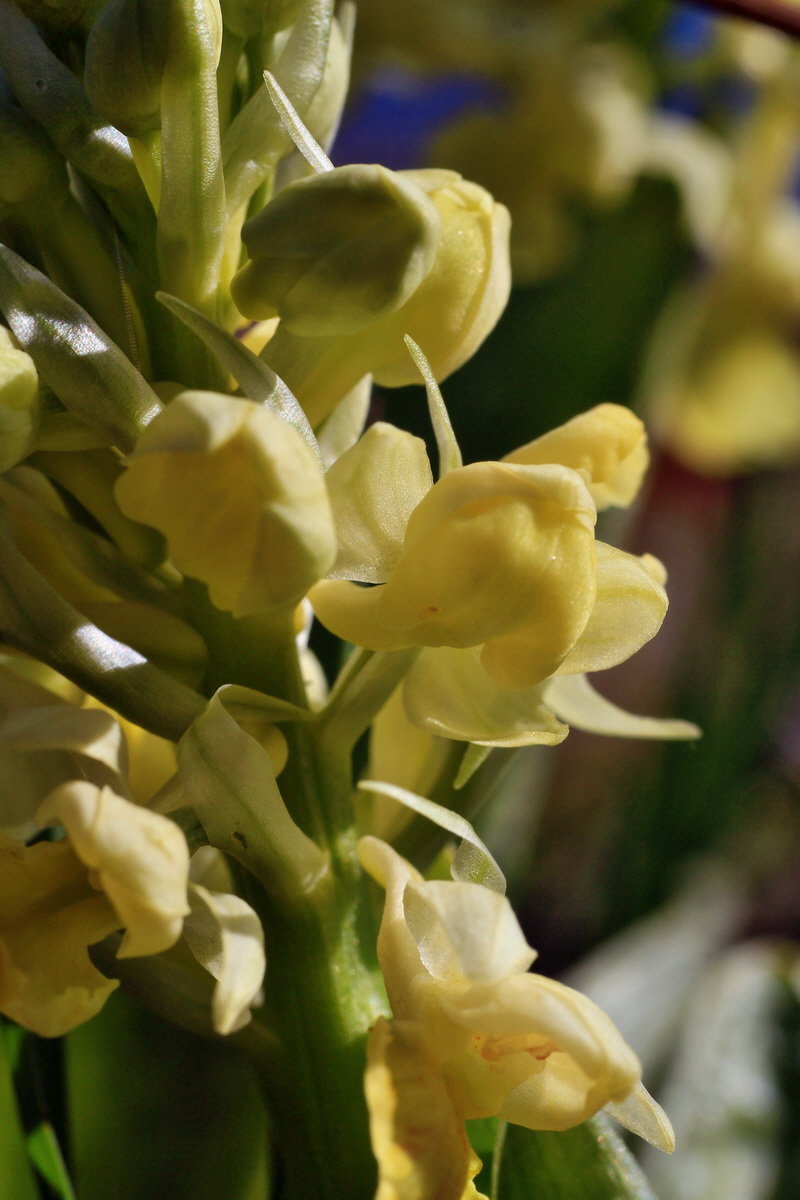 2015_04_21_00017562p_Bildgr��e �ndern