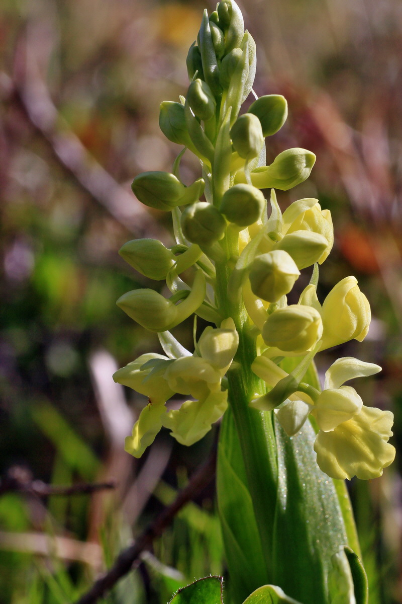 2015_04_21_00017567p_Bildgr��e �ndern