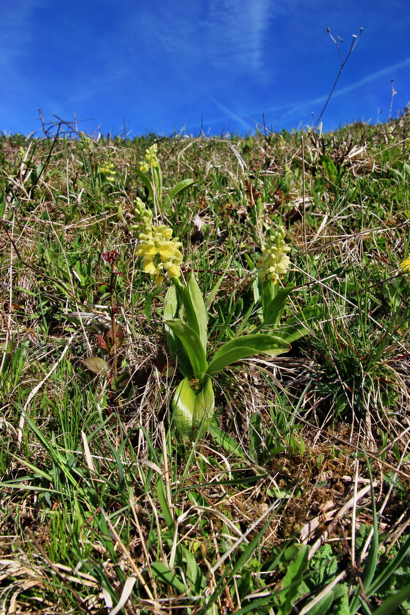 2015_04_21_00017578p_Bildgr��e �ndern