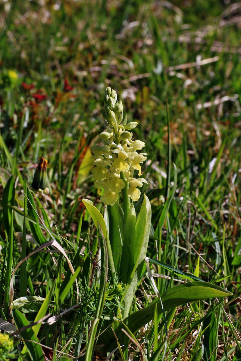 2015_04_21_00017606p_Bildgr��e �ndern