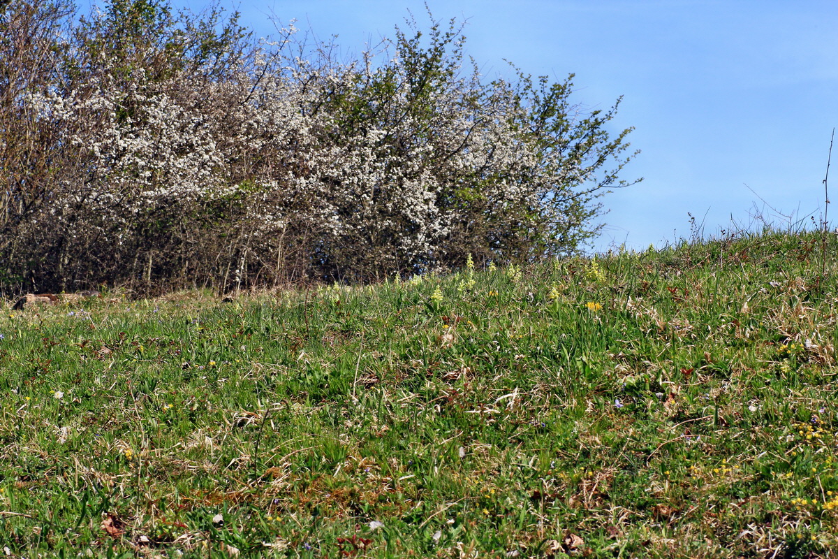 2015_04_21_00017637p_Bildgr��e �ndern