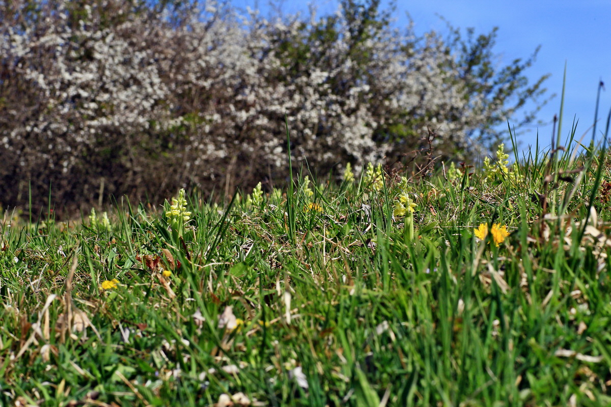 2015_04_21_00017650p_Bildgr��e �ndern