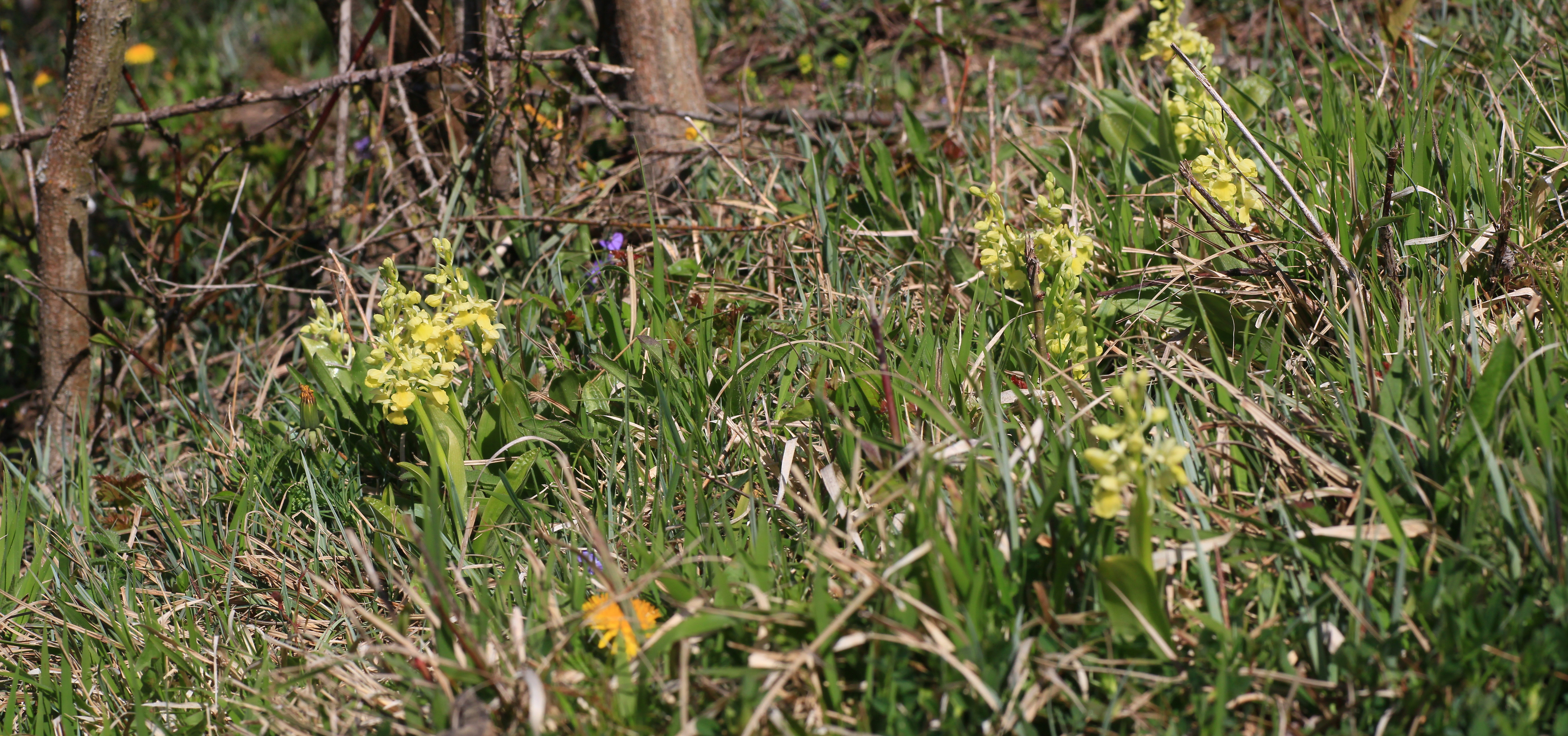 [Group 3]-2015_04_21_00017601_2015_04_21_00017603-2 images
