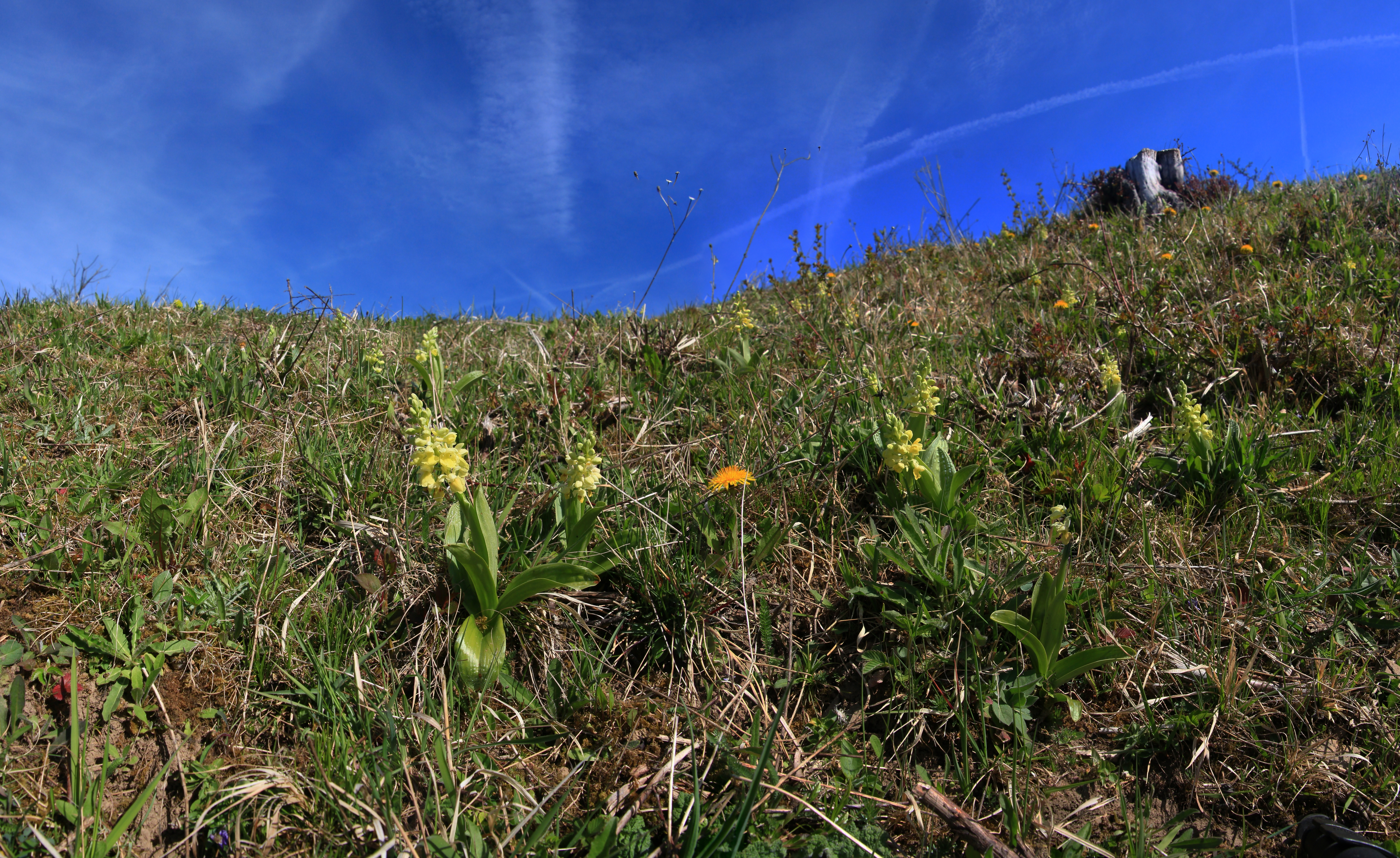 [Group 1]-2015_04_21_00017574_2015_04_21_00017597-7 images