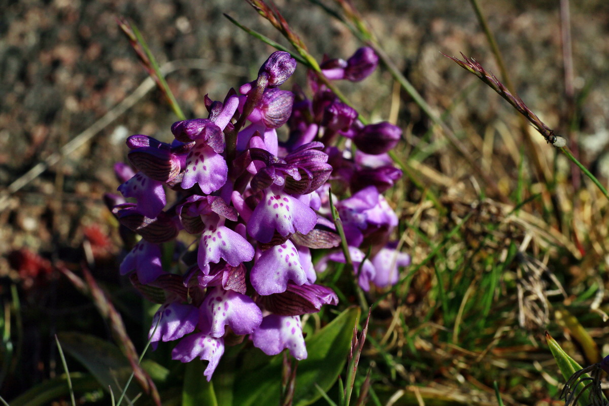 2015_04_23_00017661p_Bildgr��e �ndern