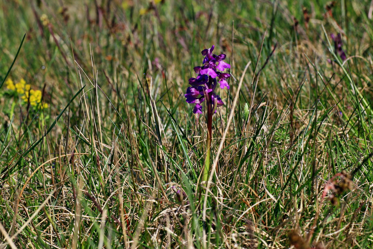 2015_04_23_00017664p_Bildgr��e �ndern