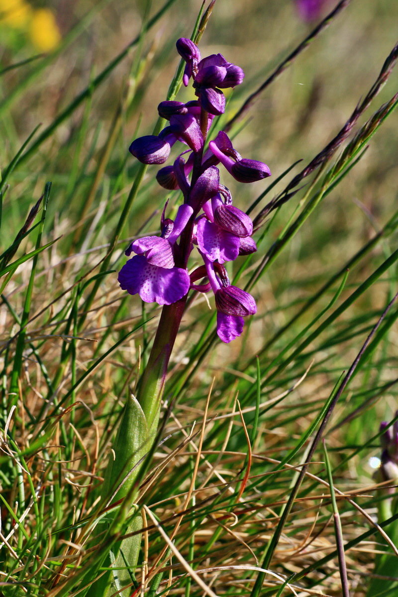 2015_04_23_00017665p_Bildgr��e �ndern