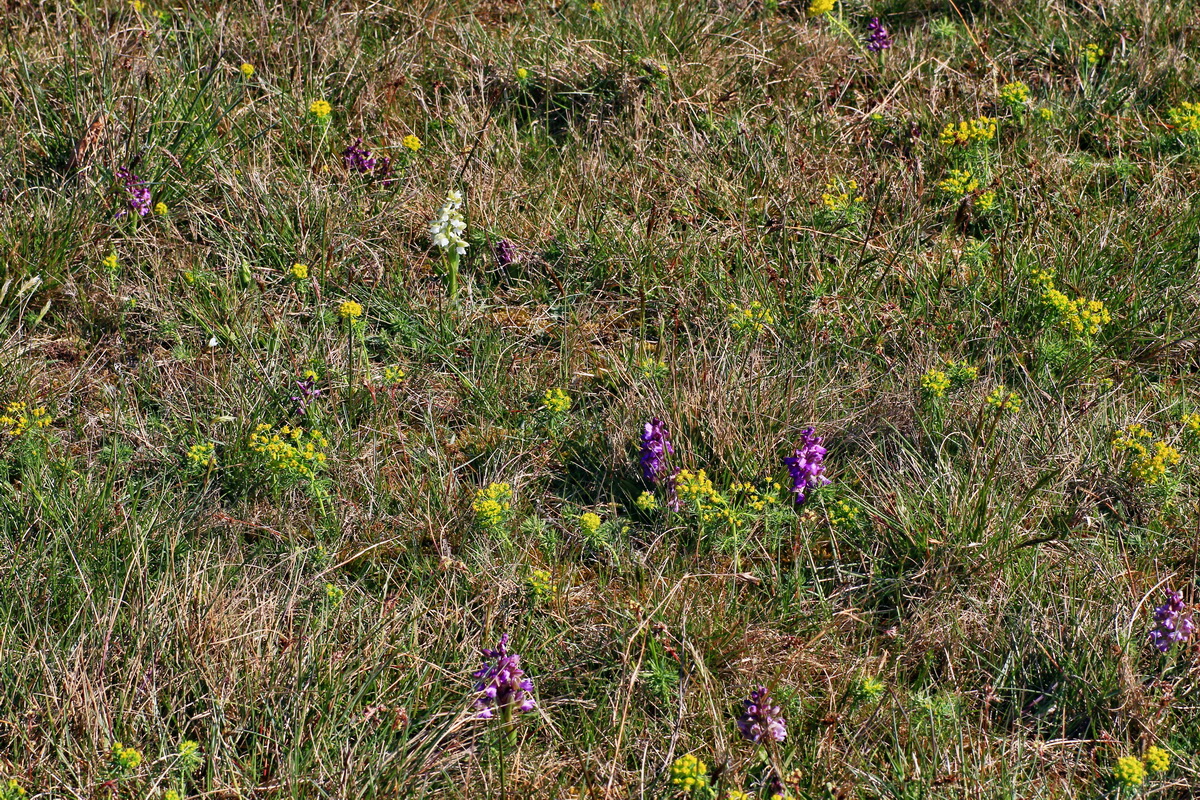 2015_04_23_00017667p_Bildgr��e �ndern