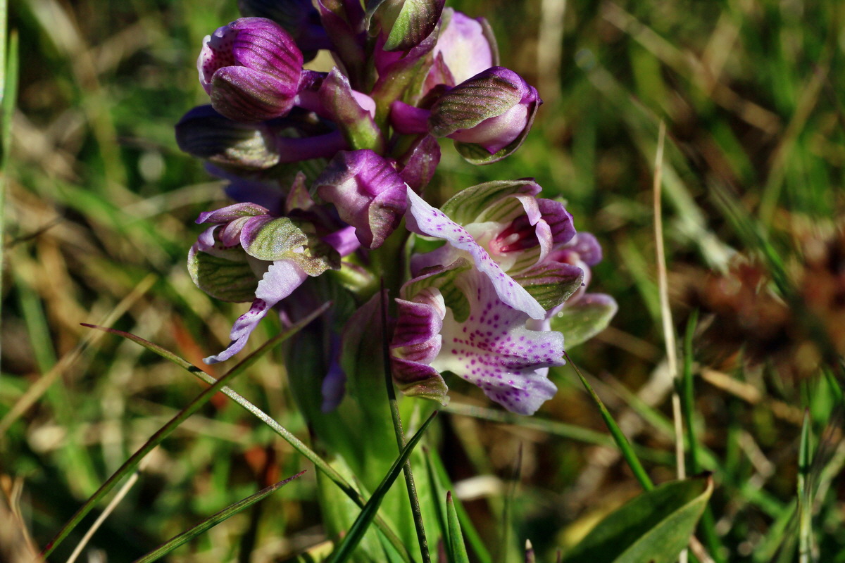 2015_04_23_00017671p_Bildgr��e �ndern