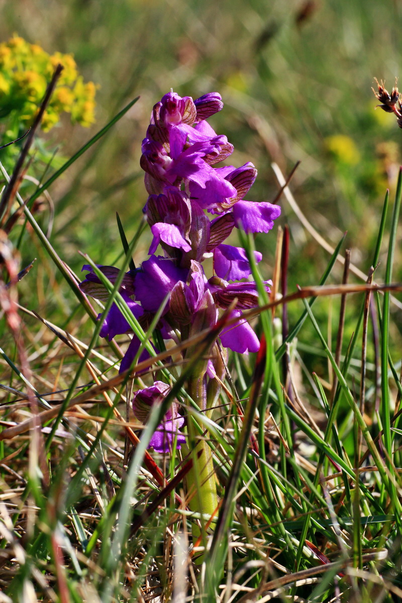 2015_04_23_00017672p_Bildgr��e �ndern