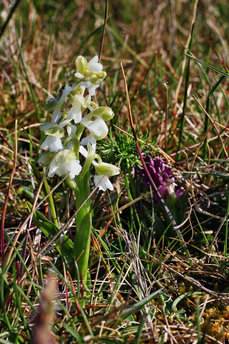 2015_04_23_00017674p_Bildgr��e �ndern