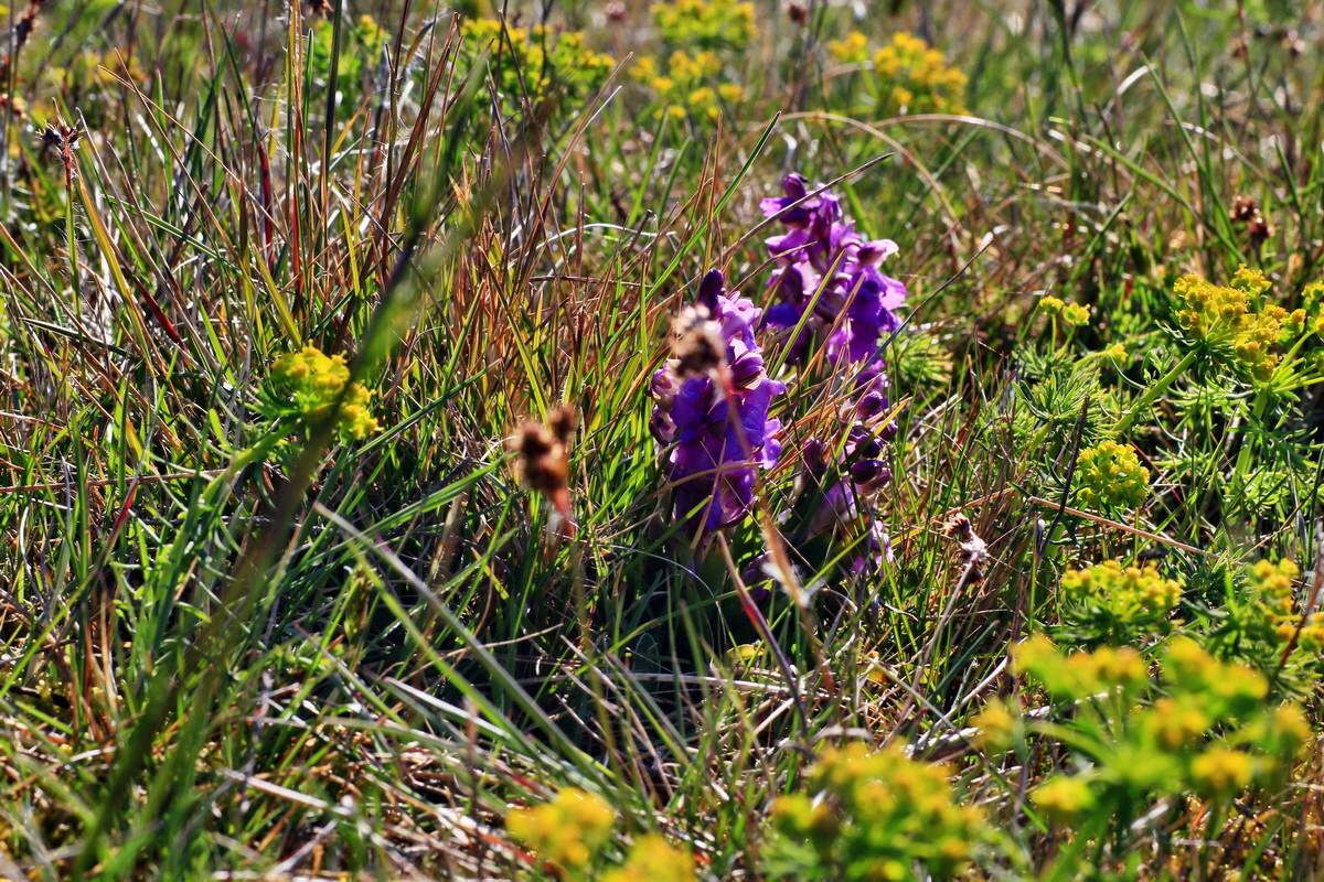 2015_04_23_00017684p_Bildgr��e �ndern