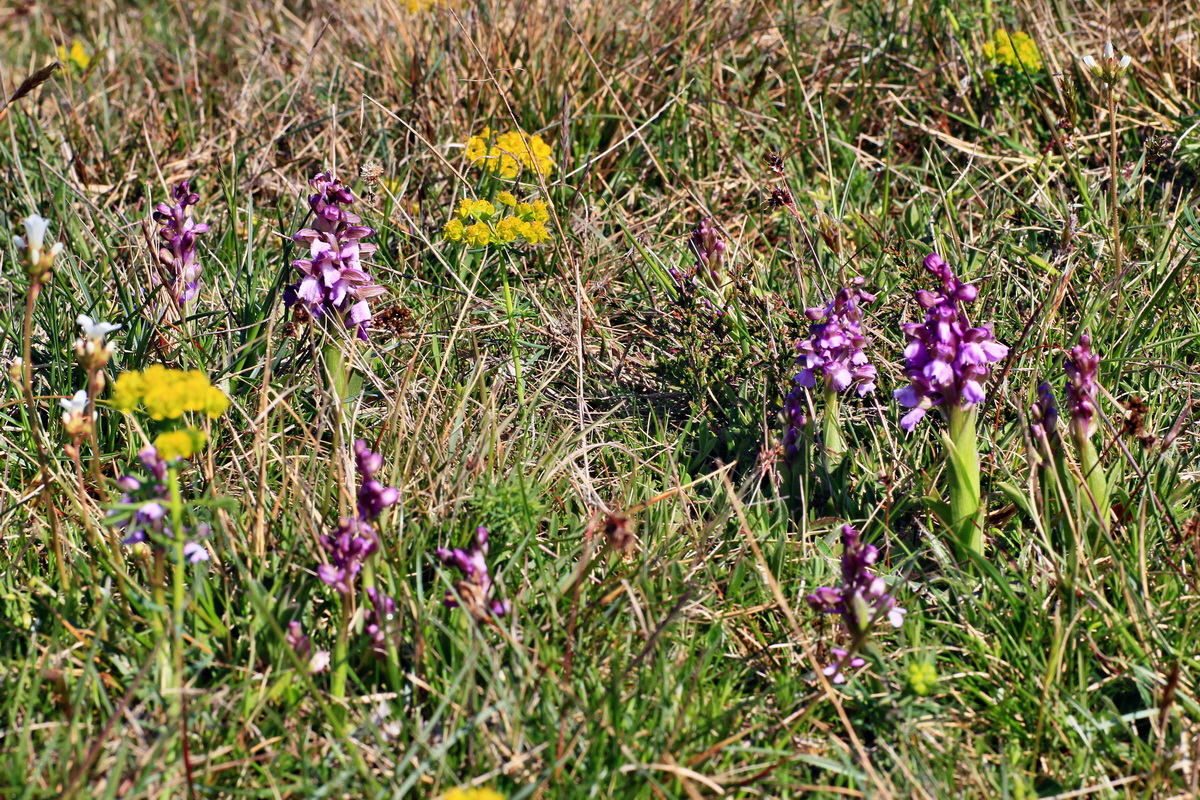 2015_04_23_00017687p_Bildgr��e �ndern