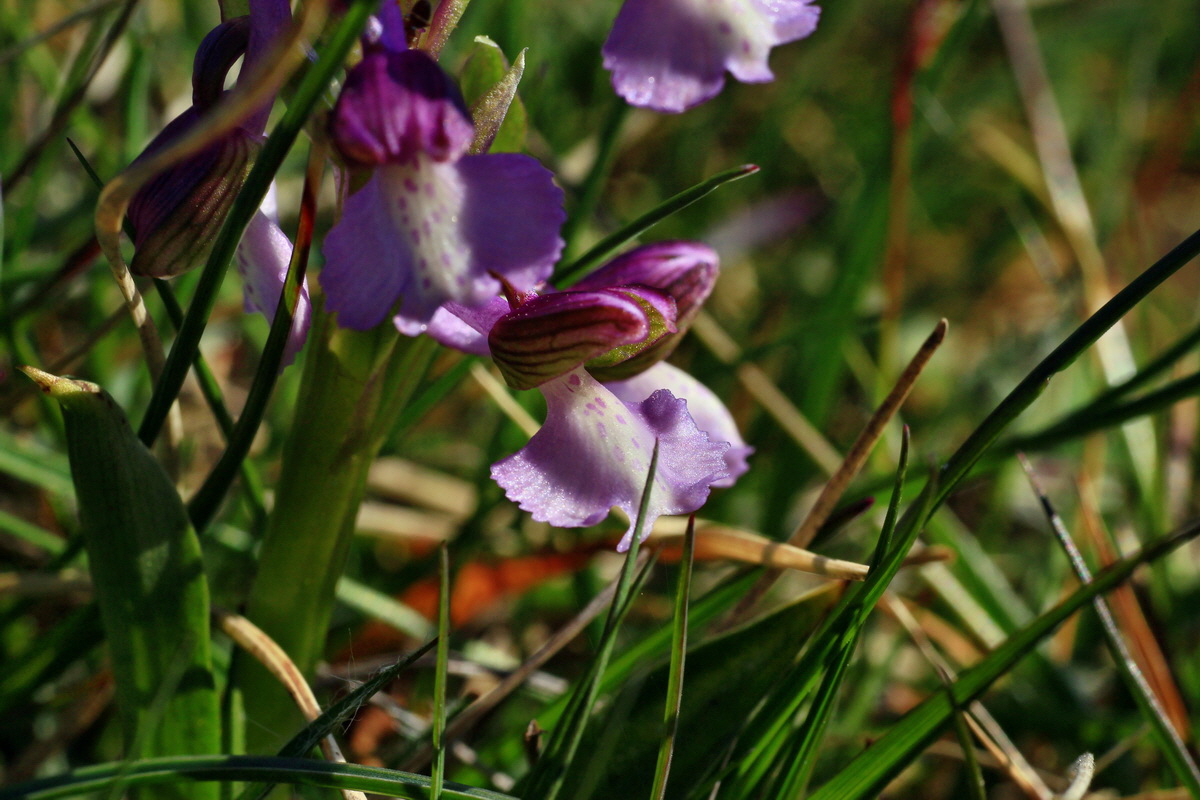 2015_04_23_00017688p_Bildgr��e �ndern