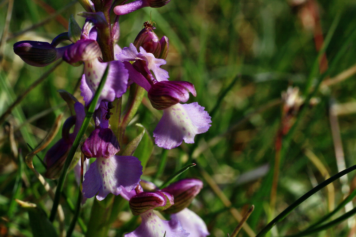 2015_04_23_00017690p_Bildgr��e �ndern