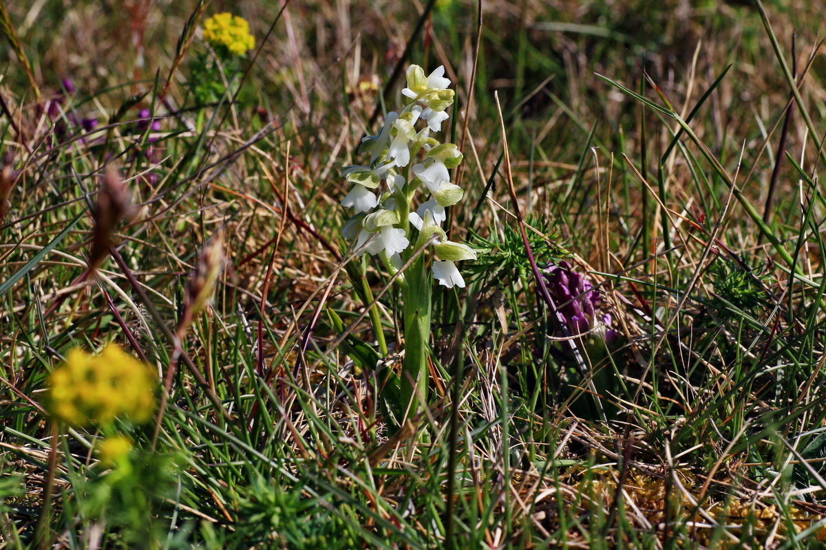 2015_04_23_00017692p_Bildgr��e �ndern