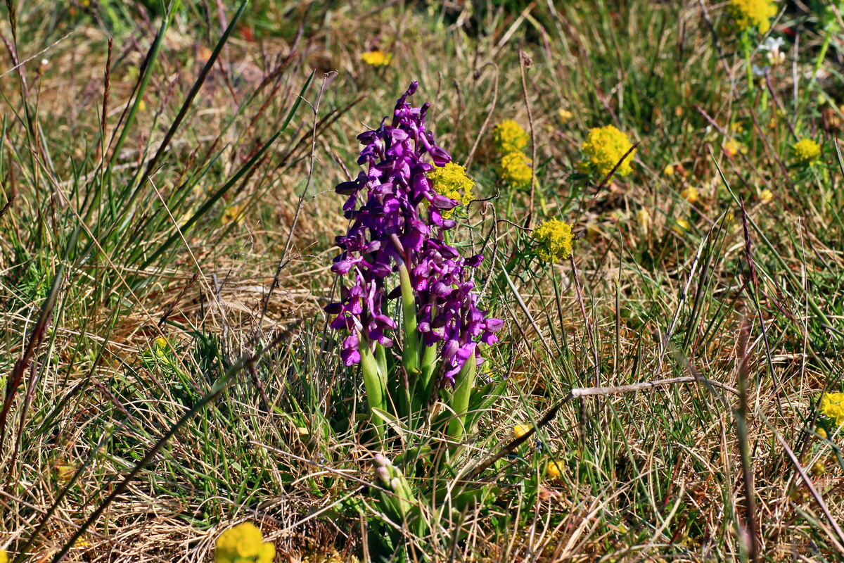 2015_04_23_00017701p_Bildgr��e �ndern