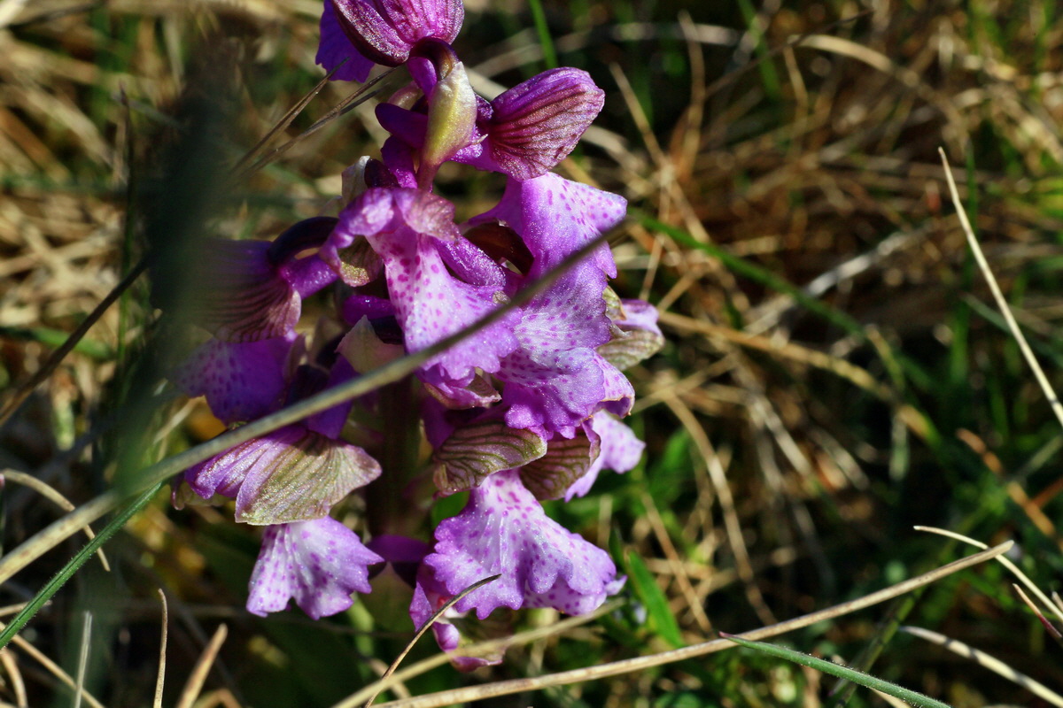 2015_04_23_00017702p_Bildgr��e �ndern