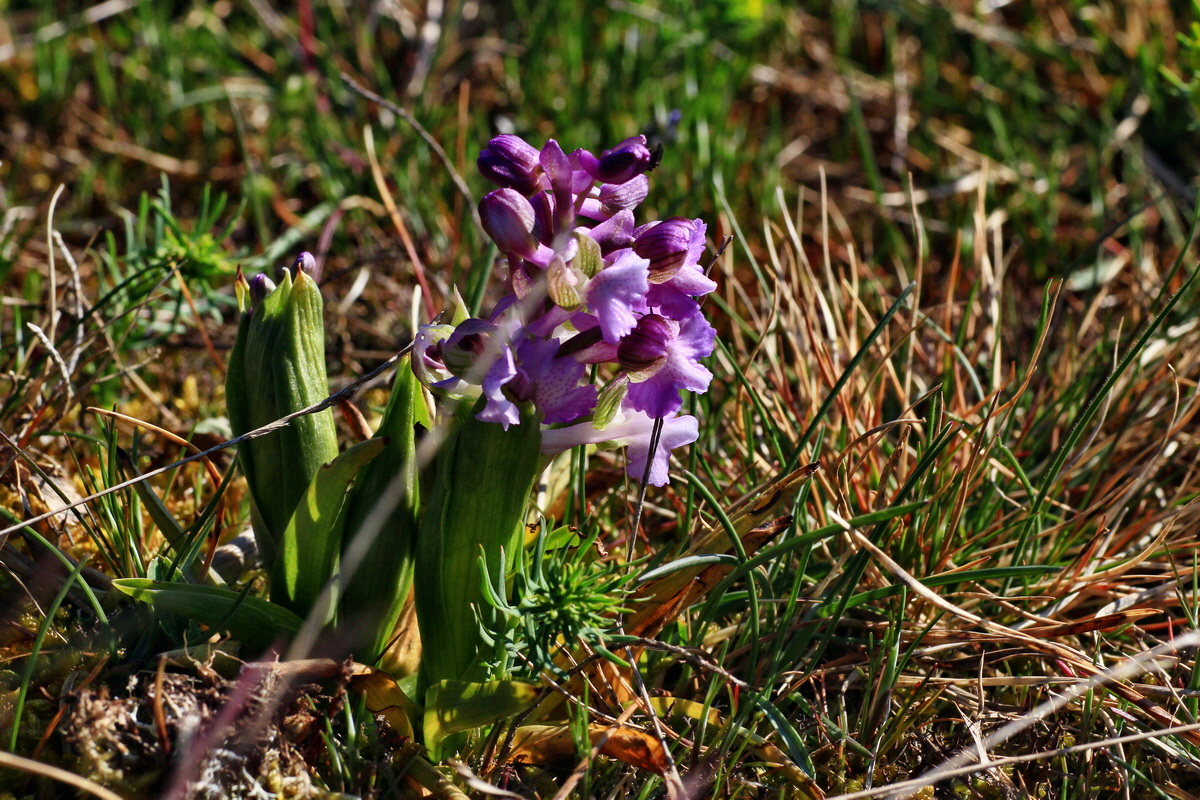 2015_04_23_00017706p_Bildgr��e �ndern