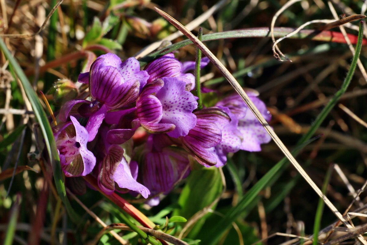 2015_04_23_00017712p_Bildgr��e �ndern