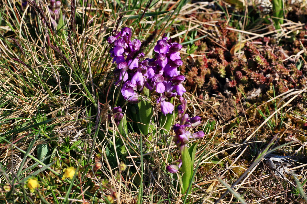 2015_04_23_00017716p_Bildgr��e �ndern