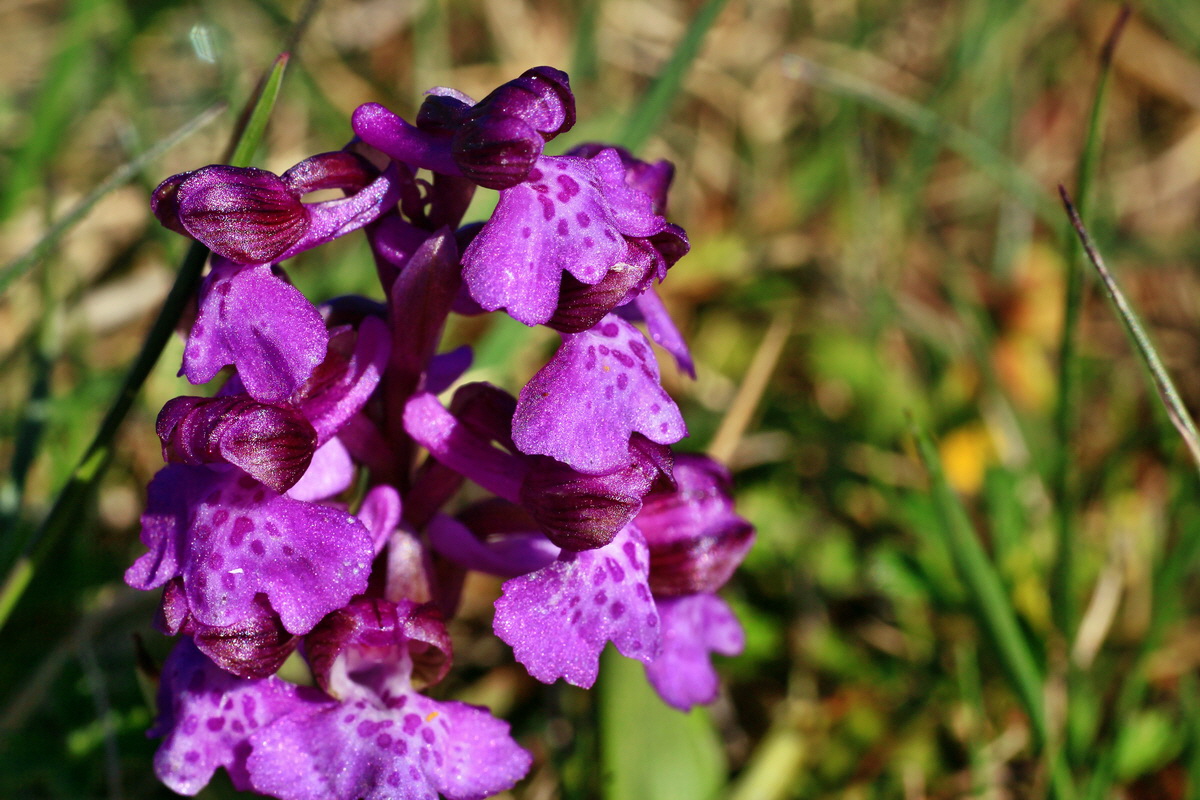 2015_04_23_00017719p_Bildgr��e �ndern