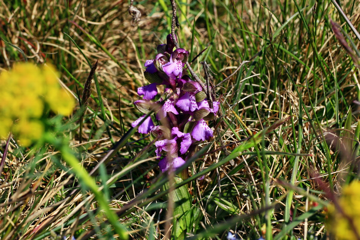 2015_04_23_00017720p_Bildgr��e �ndern