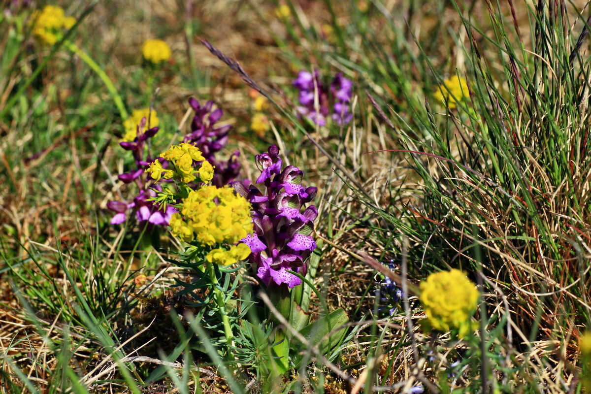 2015_04_23_00017722p_Bildgr��e �ndern