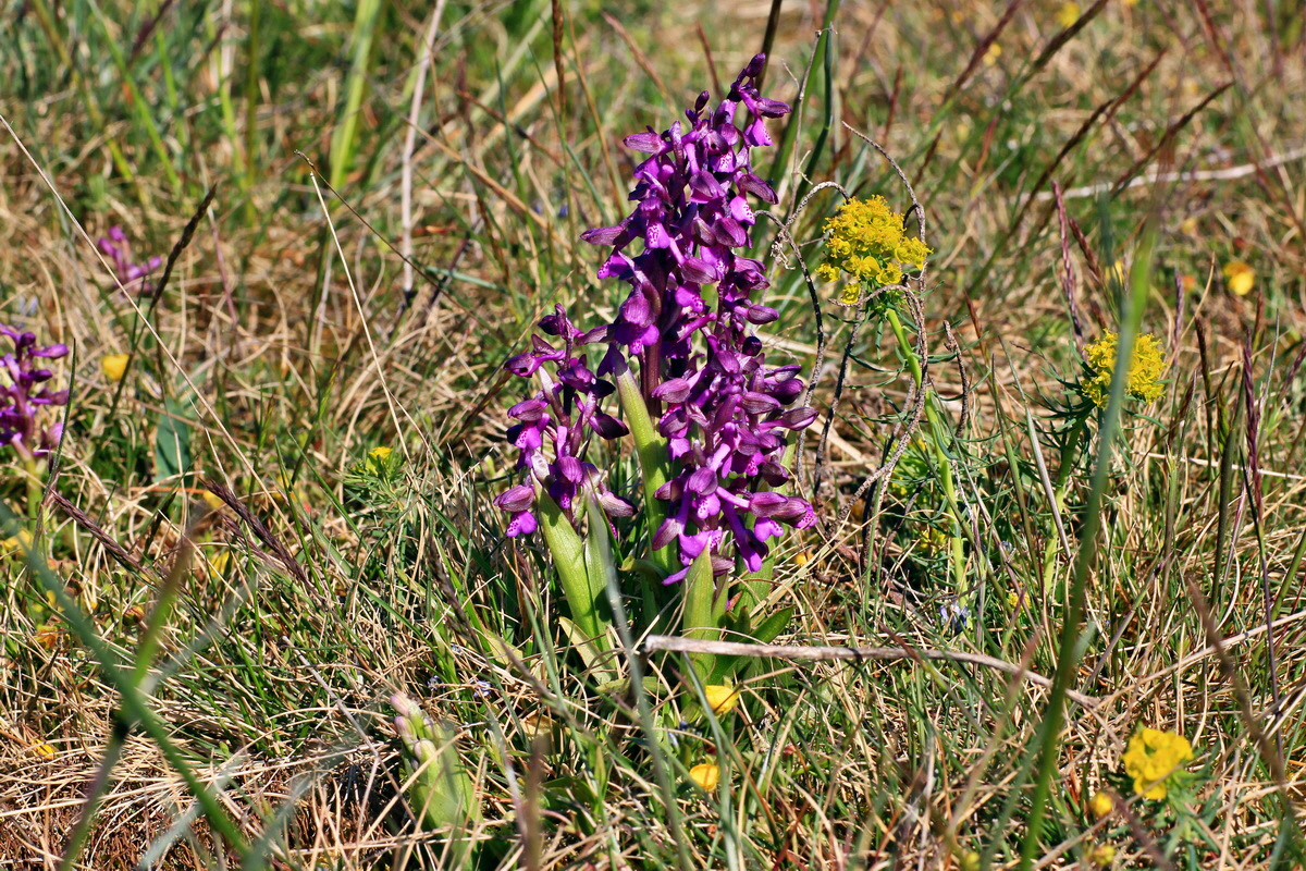 2015_04_23_00017725p_Bildgr��e �ndern