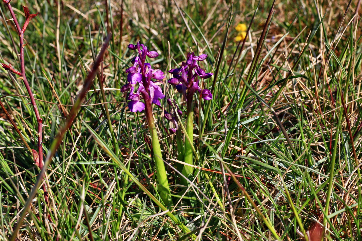 2015_04_23_00017731p_Bildgr��e �ndern