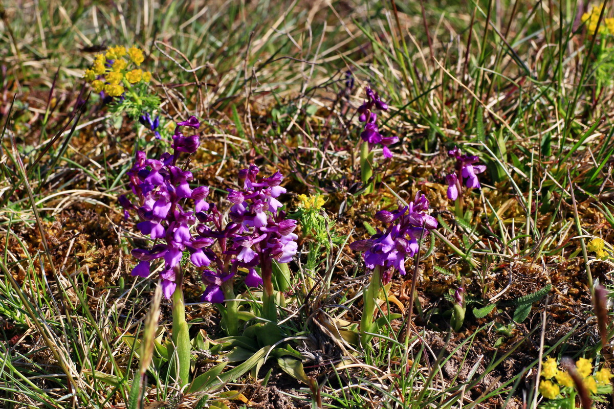 2015_04_23_00017734p_Bildgr��e �ndern