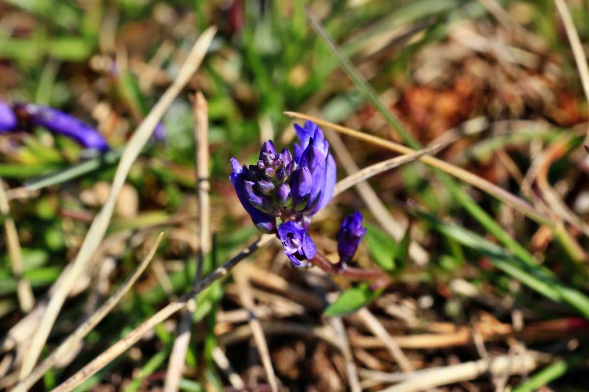 2015_04_23_00017735p_Bildgr��e �ndern