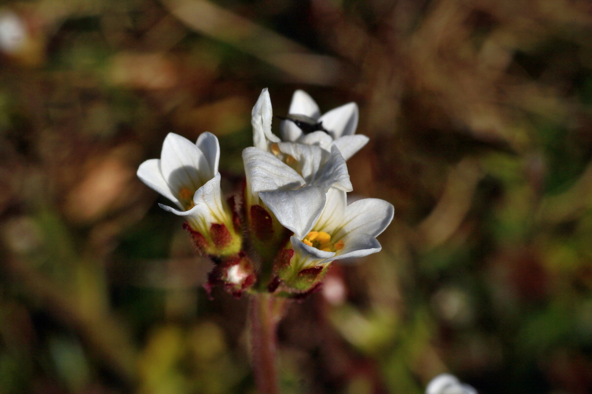 2015_04_23_00017738p_Bildgr��e �ndern