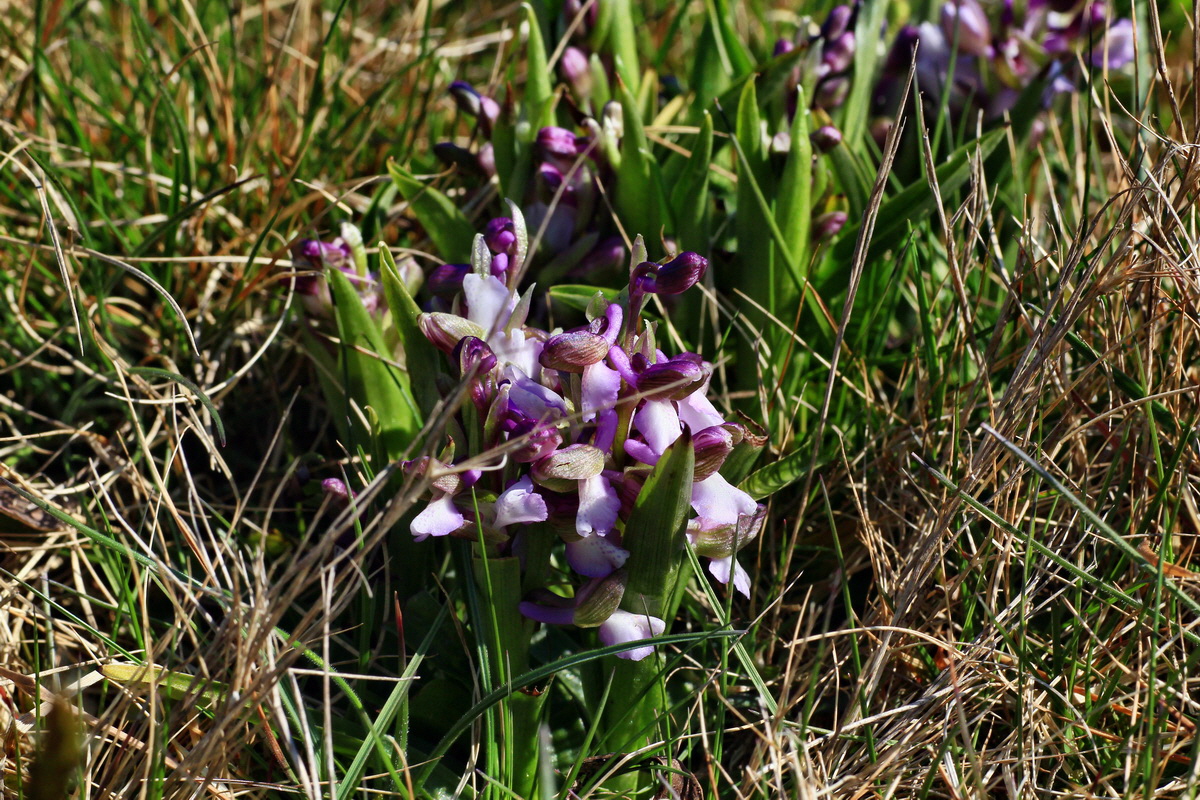 2015_04_23_00017742p_Bildgr��e �ndern