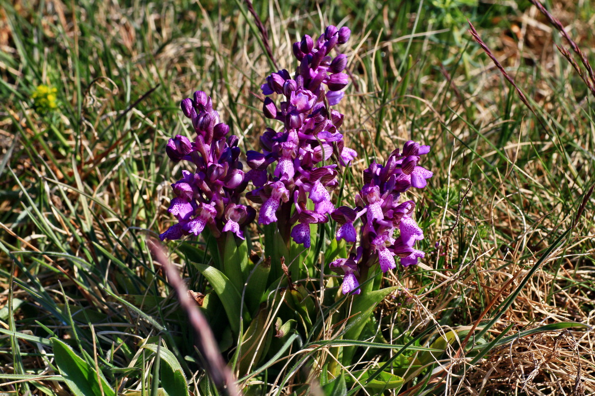 2015_04_23_00017743p_Bildgr��e �ndern